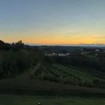 Splendid Magna With Pool And Park - Langhe Hills Villa *